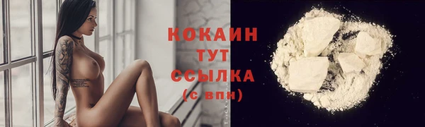шишки Абаза