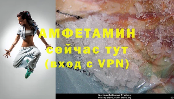 шишки Абаза