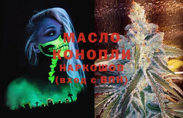 шишки Абаза