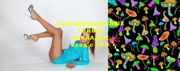 шишки Абаза