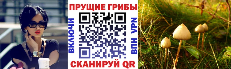 мега маркетплейс  Усмань  Псилоцибиновые грибы Cubensis 